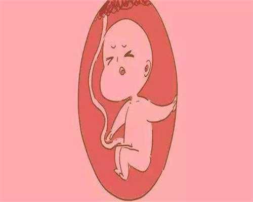 代孕6个月的胎儿是什么样 有了哪儿些新变化_医