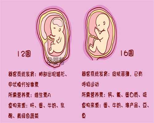 产前检查从女性代孕早期开始很重要_青海价格