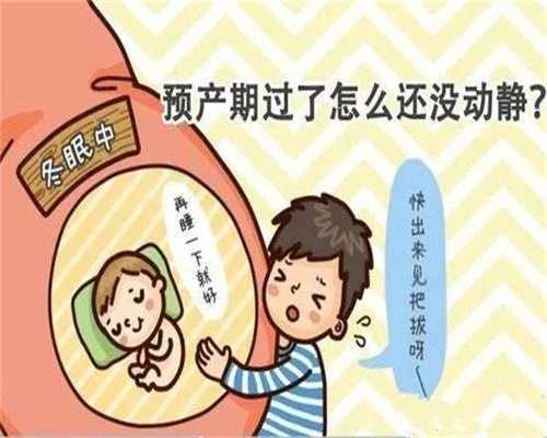 北京助孕机构哪家好,孕期这2个月很关键，也是胎