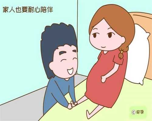 代孕产子的协议怎么写_北京代怀孕费用
