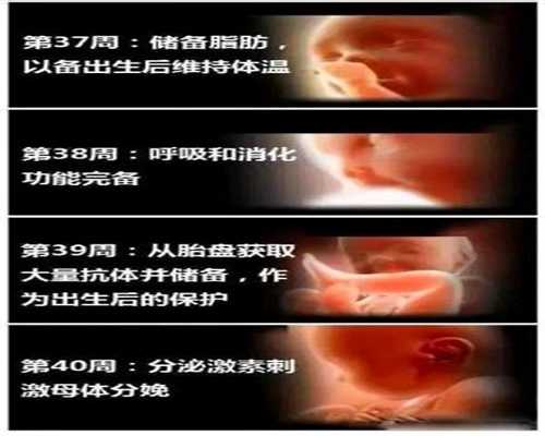 北京供卵生殖中医院-怀孕能不能吃干荔枝