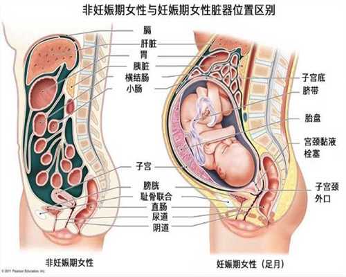 北京代孕咨询_月子中的豆食品五种