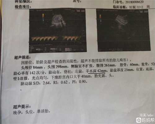 北京代孕一个孩子多少钱_6个月宝宝补铁吃什么