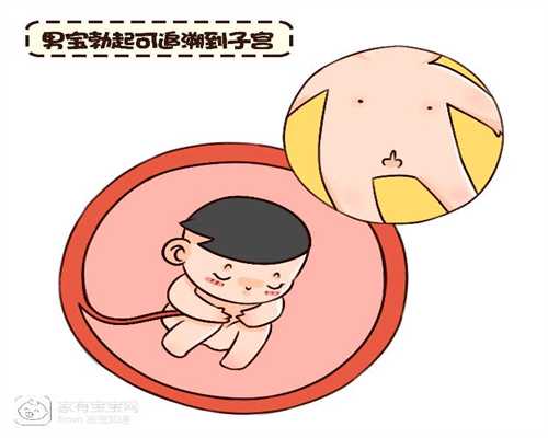 北京代孕案例~公立北京代孕包男孩~北京代孕公司哪里专业