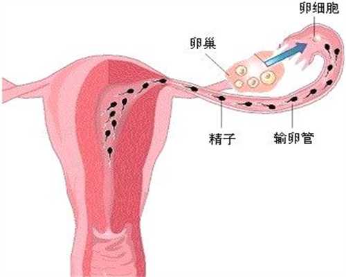 北京代孕风险-北京供卵中心地址-2020北京找人代生孩子费用