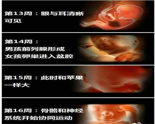 北京代孕网址`有北京做试管代孕`哪家北京代孕公司最好啊