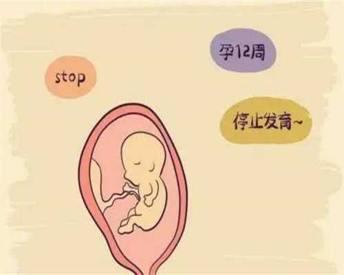 北京急寻代孕-中国北京代孕价格-北京借卵子做试管代孕能成功吗