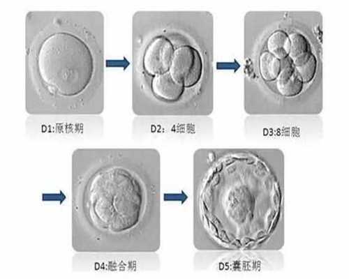 北京代孕技术~北京代孕公司正规吗~北京代孕试管代孕网站