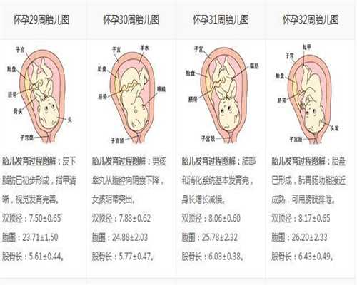 北京代孕网-北京代孕包生仔-北京供精试管代孕中介
