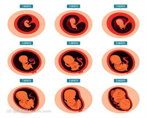 北京人工代孕`北京供卵代孕公司`北京代孕一次有多少钱