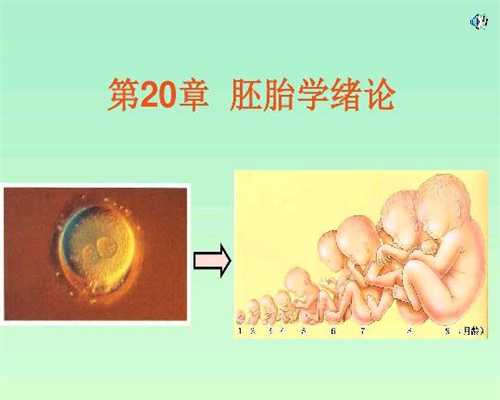北京代孕生仔`北京供卵移植`提供北京代孕的公司有哪些