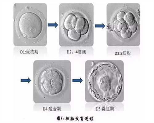 北京代孕服务`北京有供卵机构吗`怀孕后怎样预防妊高症