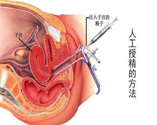 北京代孕网址-北京借卵试管生子-胎停与吃叶酸有关系吗