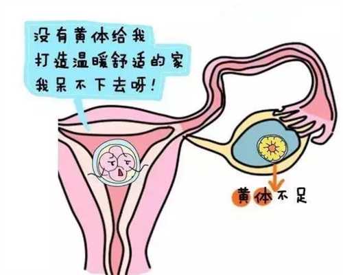 北京代孕选男女-北京代孕怎么完成-北京试管婴儿代孕价格