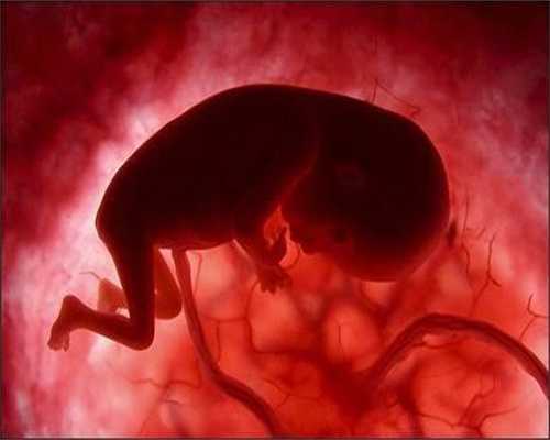 代孕网哪家靠谱-代孕对小孩有影响吗-输卵管僵硬可以代孕吗