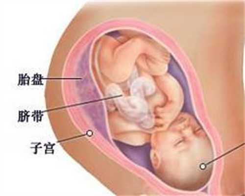 北京代孕-北京代孕成功率-北京代孕需要配血型吗