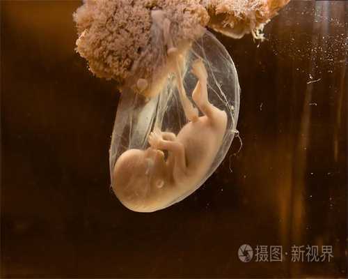 北京代孕怎么怀孕,北京代孕价格一般多少【权威代孕奇迹，爱心演绎华章】