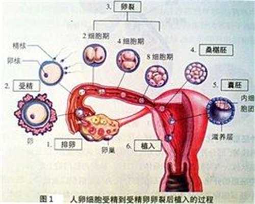 北京想找人代孕女_北京首例H7N9患儿符合出院标准 不久可出院