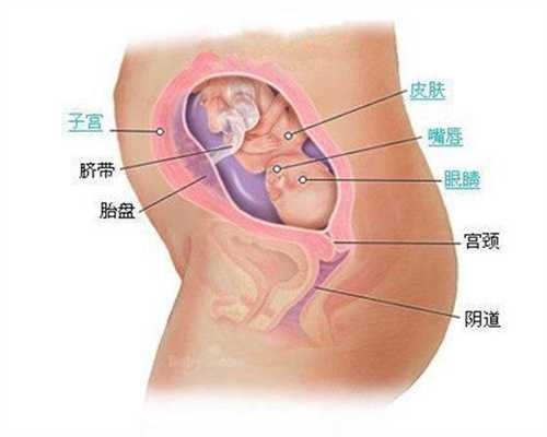 北京代孕个人_北京市海淀区妇幼保健院做试管婴儿成功率怎么样的？ 