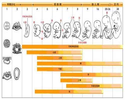 北京代孕网站哪家靠谱-2022年代孕价钱_一代北京试管婴儿成功率试管和二代的区