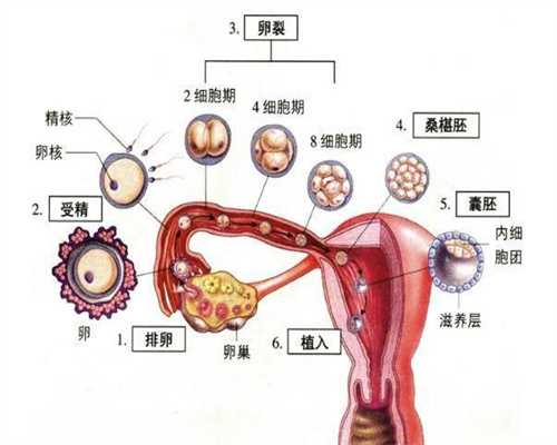 代孕最好三甲医院-北京找靠谱代孕_北京做三代试管婴儿技术好的私立医院有哪