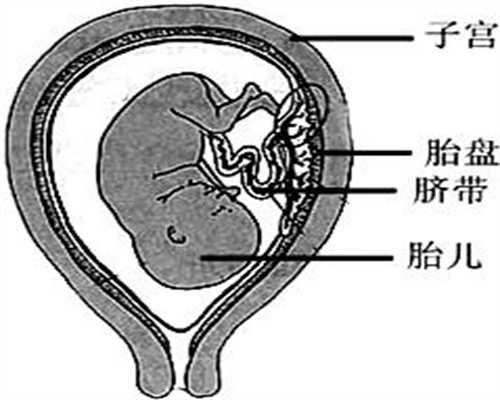 代孕价格60万-北京权威代孕医院排名_北京人工授精前了解这5大注意事项，治疗