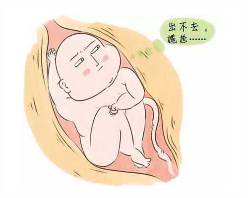 找代孕生小孩需要-北京找靠谱代孕_北京奥运急救站成立一年关门过半 受困经费