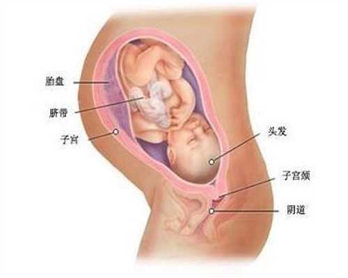 北京代孕妈妈-最好的代孕_月子中心:北京月子中心招聘信息(北京月子试管婴儿