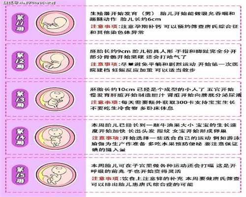 北京代孕孩子有别人细胞吗-代孕生仔多少钱_鲜胚移植和冻胚移植哪个好？北京