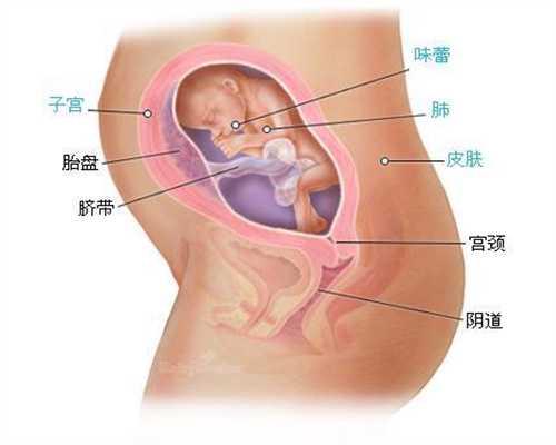 北京金贝供卵 骗局-中国哪家医院可以供卵_北京哪有做试管婴儿的 影响卵子质