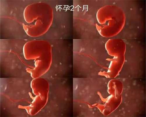 北京北医三院供卵-代孕中心--代孕妈妈_独家！北京玉泉医院产检攻略