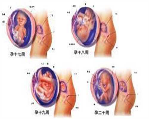 北京国内代孕需要多少钱-代孕包生儿子几多钱_2009年北京防艾志愿者增加5万多